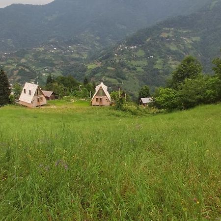 Green Gundauri K'eda Exterior foto