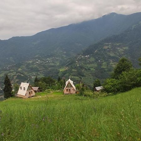 Green Gundauri K'eda Exterior foto